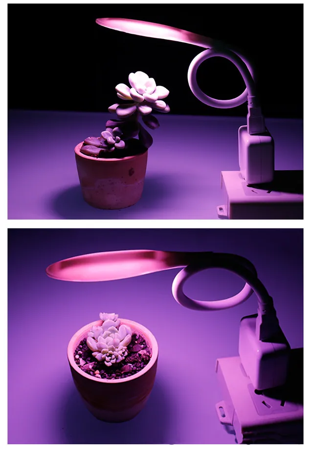 식물 생장 LED(USB 타입)